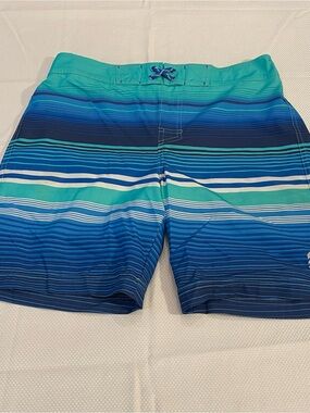 Free Country Teal and Blue Striped Men's Swim Trunks